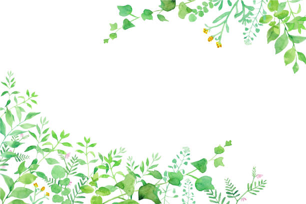 緑の花の2隅の装飾フレーム、水彩画の微量ベクトル。(レイアウトは変更可能) - 草原点のイラスト素材／クリップアート素材／マンガ素材／アイコン素材