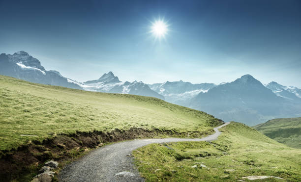 grindelwaldtal vom ersten berg, schweiz - schreckhorn stock-fotos und bilder