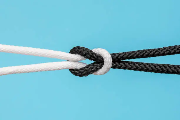 black and white ropes are tied together in a knot, isolated on blue. Racial unity concept