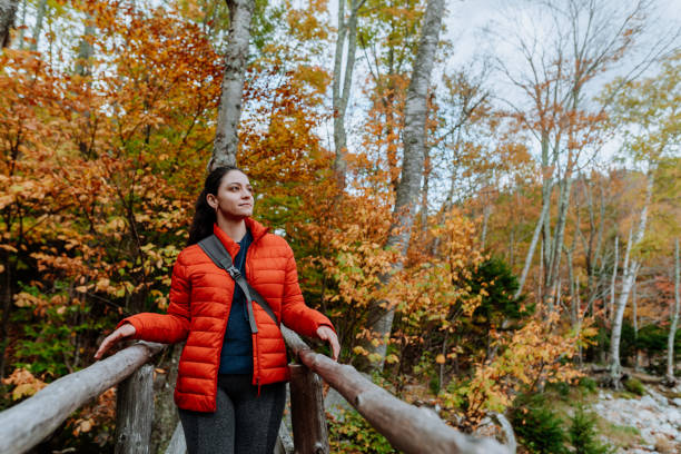 istock Hiking in the Adirondack Mountain in the fall 1280015179