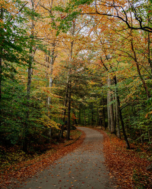 istock Hiking in the Adirondack Mountain in the fall 1280015233