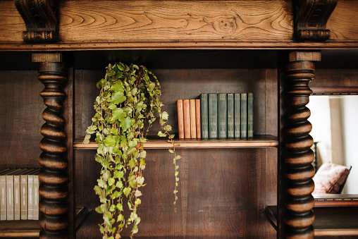 Beautifully decorated vintage wooden bookshelves