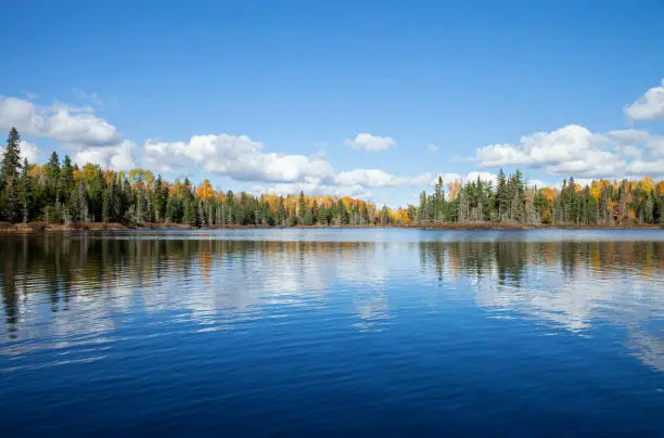 Photo of Blue lake with treeline in autumn color on a sunny afternoon in northern Minnesota
