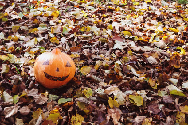 istock Funny Halloween pumpkin in autumn park with fall leaves 1280019884