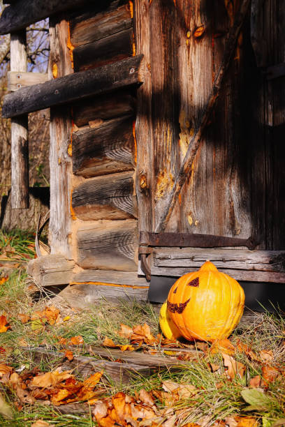 istock Funny Halloween pumpkin in autumn park with fall leaves 1280020001