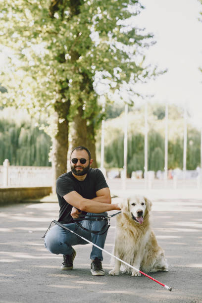 istock Blind man with guide dog in a summer city 1280023010