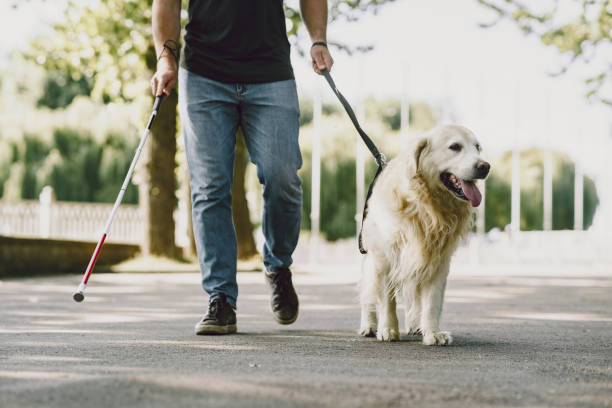 istock Blind man with guide dog in a summer city 1280023033