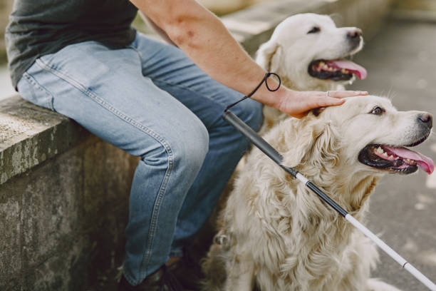 istock Blind man with guide dog in a summer city 1280023062
