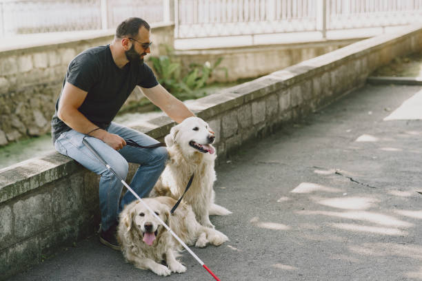istock Blind man with guide dog in a summer city 1280023088