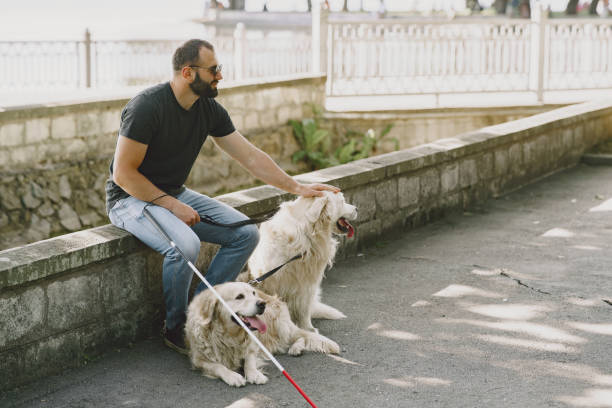 istock Blind man with guide dog in a summer city 1280023090