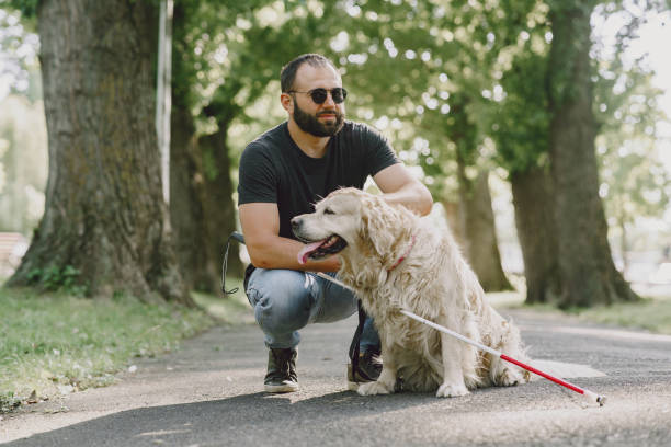 Blind man with guide dog in a summer city