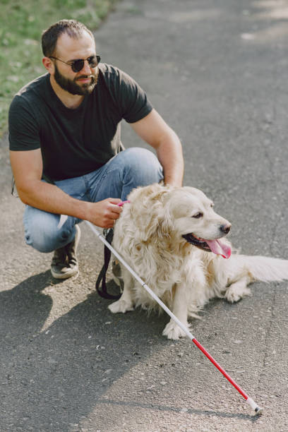 istock Blind man with guide dog in a summer city 1280023260