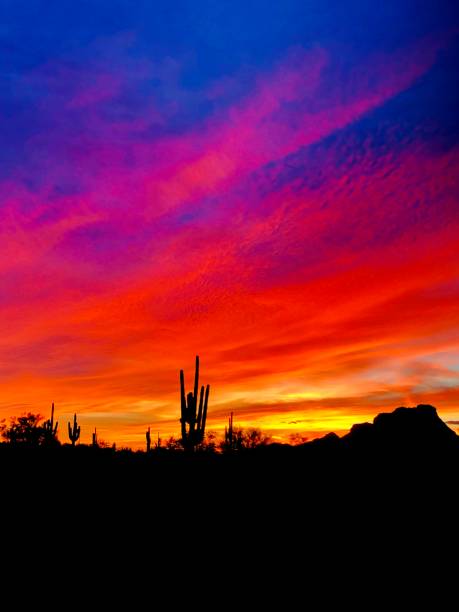 Fire sky at sunset with cacti and mountains in background