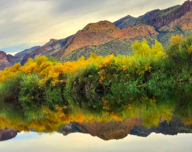 Salt River Fall Colors Beautiful changing trees reflecting on the Salt River. salt river photos stock pictures, royalty-free photos & images