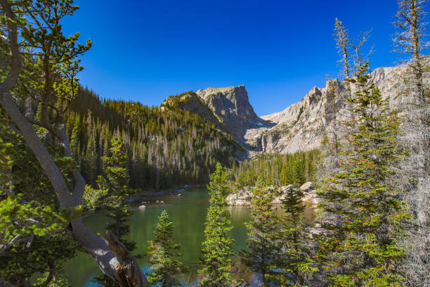 istock Emerald green lake surrounded by evergreens and beautiful mountain scenary 1280031194