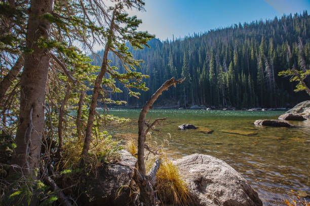 istock Beautiful clear mountain lake nestled in the forest 1280031230