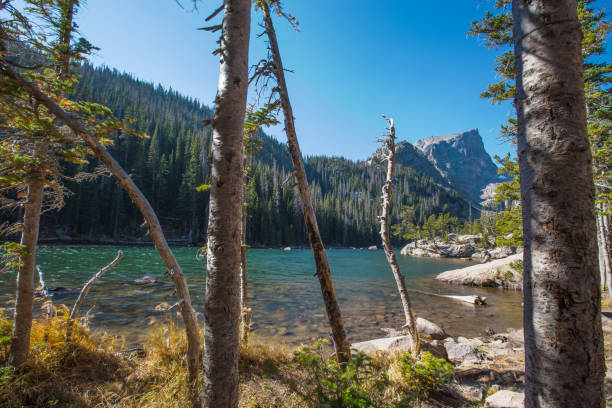 istock Beautiful clear mountain lake nestled in the forest 1280031252
