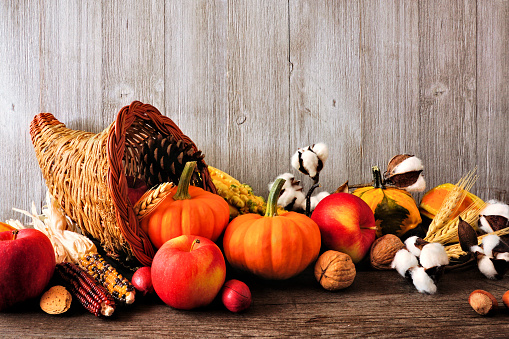 Thanksgiving harvest cornucopia filled with autumn fruits and vegetables. Side view against a rustic grey wood background.