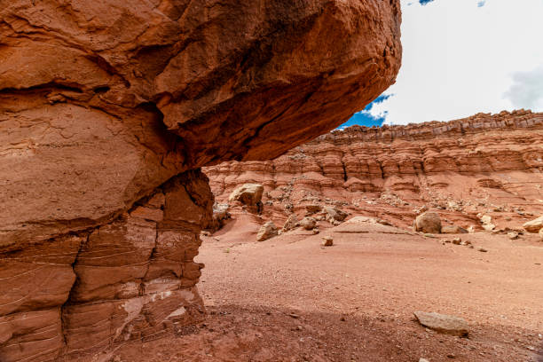 cara de roca tallada por millones de años de pie en terreno firme y grueso, vermillion cliff range, page, az, ee.uu. - small town america flash fotografías e imágenes de stock