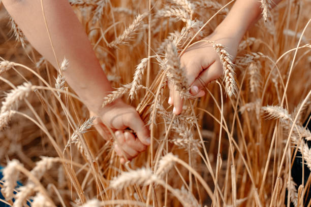 istock Children hold hands in a field at sunset. 1280034348