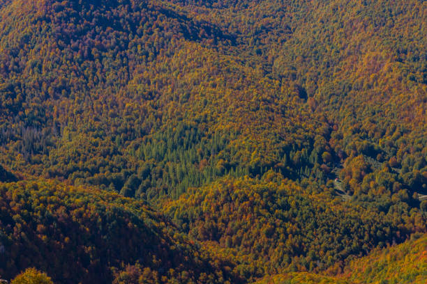 istock Abruzzo National Park Mountains, Lazio and Molise 1280034848
