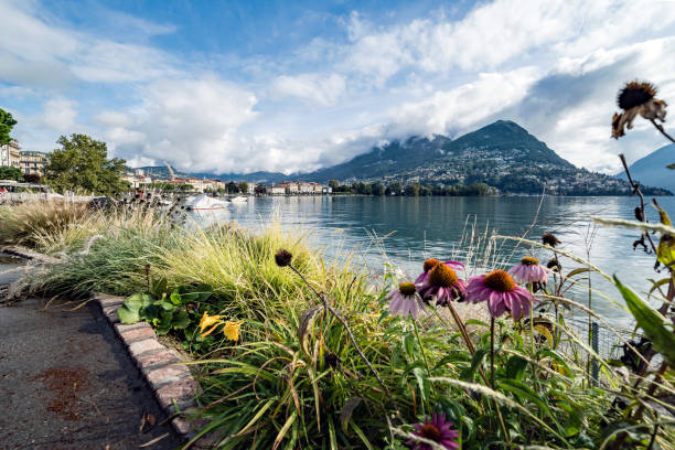 Waterfront in Lugano, Monte Bré, Piazza, Ticino, Switzerland Waterfront promenade in Lugano, Monte Brè, Piazza, Ticino, Switzerland lugano stock pictures, royalty-free photos & images