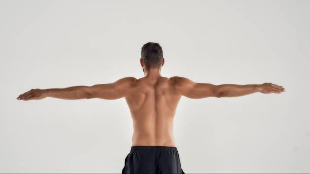 back view of muscular man with naked torso posing with outstretched arms isolated over grey background - rear view human arm naked men imagens e fotografias de stock