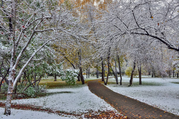istock First snowfall in bright colorful city park in autumn 1280040032