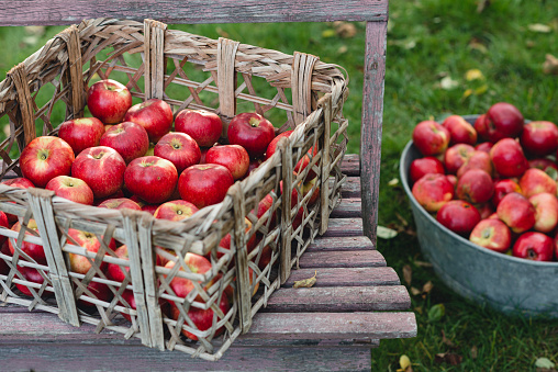 Apple - Fruit, Red, Fruit, in a basket