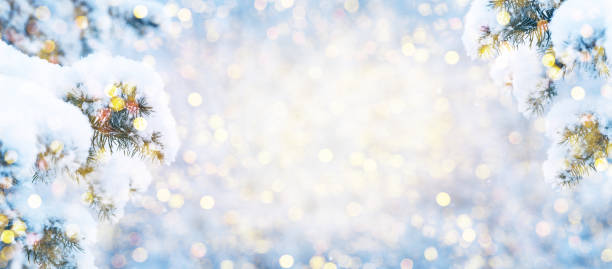 istock Winter fir tree christmas scene with sunlight. 1280041647