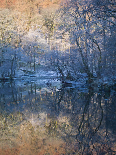 silny mróz w okresie zimowym wzdłuż rzeki derwent w borrowdale w pojezierzu angielskim - derwent river zdjęcia i obrazy z banku zdjęć