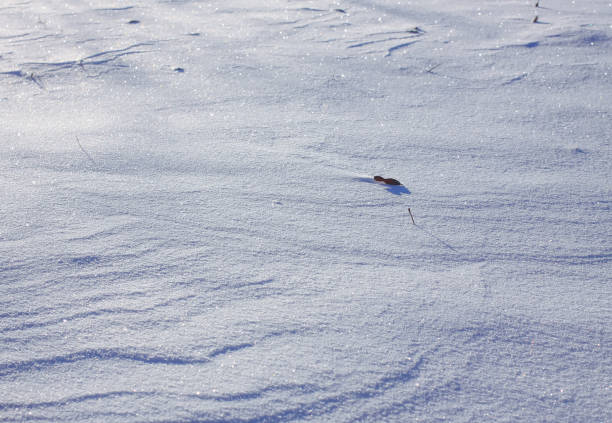 istock Fresh snow surface in sunny winter day. 1280042876