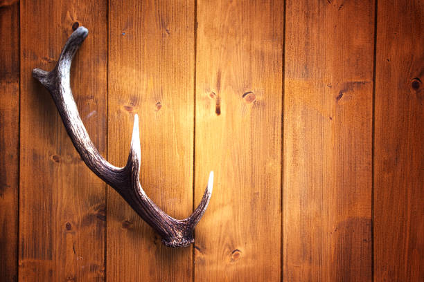 Deer head on brownish wallpaper with floral motif and silvery outlines. 3d render.