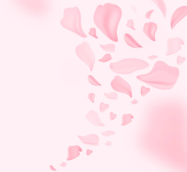 istock Petals falling. April floral nature. Spring blossom and may flowers on pink. For banner, branches of blossoming cherry against background. Dreamy romantic image, landscape, copy space. 1280043410