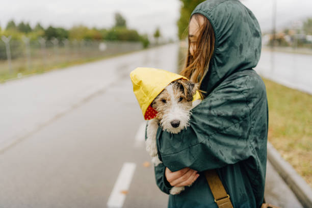 istock Walking my dog on a rainy day 1280043511