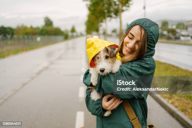 Walking My Dog On A Rainy Day Stock Photo - Download Image Now - Rain, Dog, Raincoat