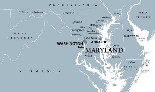 Maryland, MD, gray political map, Old Line State, Free State Maryland, MD, gray political map. State in Mid-Atlantic region of United States of America. Capital Annapolis. Old Line State. Free State. Little America. America in Miniature. Illustration. Vector. maryland state colors stock illustrations
