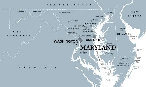 Vector illustration of Maryland, MD, gray political map, Old Line State, Free State