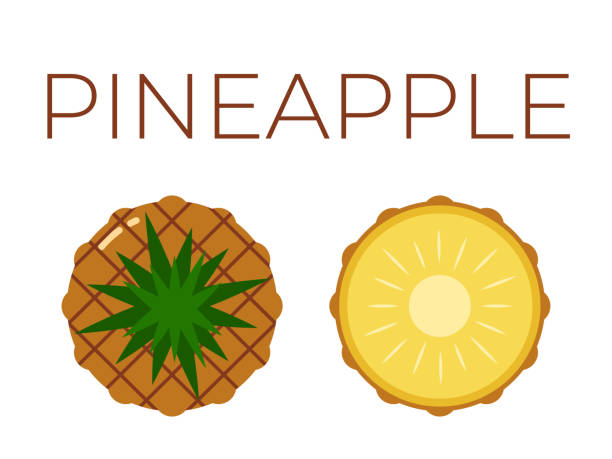 Vector of Pineapple, Ananas and sliced half of Pineapple, Ananas on white background Pineapple, Ananas and sliced half of Pineapple, Ananas with fruit name above. Vitamin fruit. Flat isolated vector on white background ananas stock illustrations