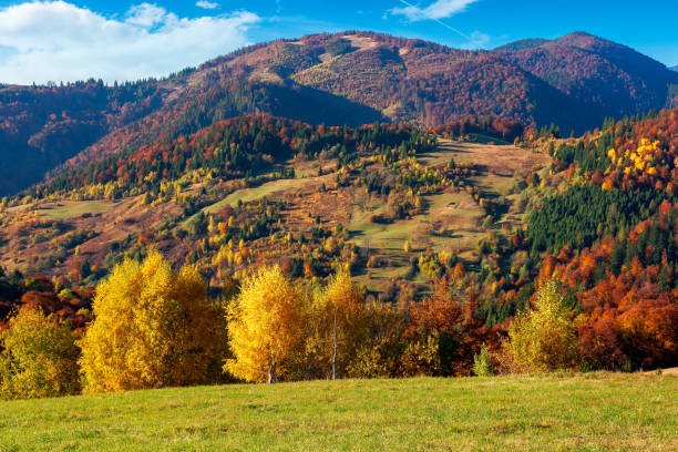 istock countryside scenery in fall season 1280046068