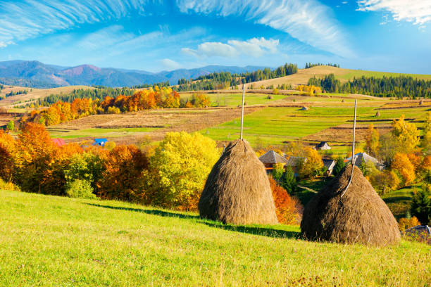 rural landscape in mountains. haystack on the hill. village in the valley. scenery in fall colors. beautiful sunny weather with fluffy clouds on the sky