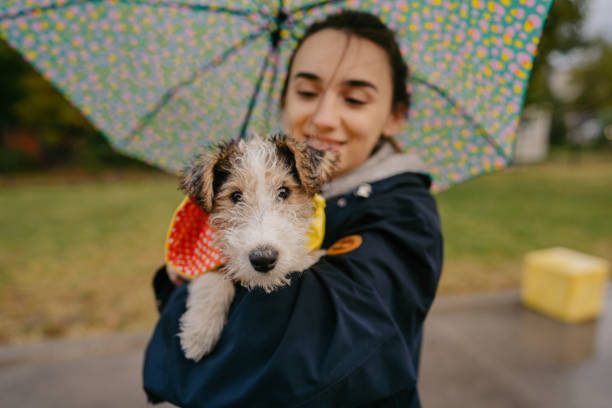 istock Walking my dog on a rainy day 1280047465