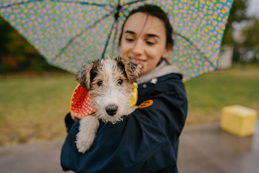 Photo of a young woman and her puppy having fun outdoors on a rainy day.