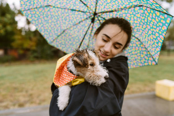 istock Walking my dog on a rainy day 1280047641