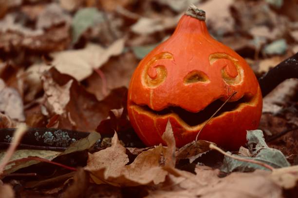 istock Jack of the lantern 1280048901