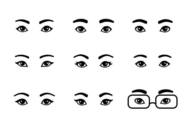 Black and white set of different male and female eyes. Asian, European, African cartoon simple pairs of eyes with eyebrows, shape variations, men and women. Black and white set of different male and female eyes. Asian, European, African cartoon simple pairs of eyes with eyebrows, shape variations, men and women. Vector illustration, easy to edit. pair stock illustrations