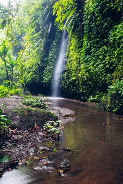 istock Tukad Cepung waterfall in Bali, Indonesia 1280052411