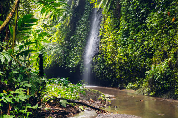 istock Tukad Cepung waterfall in Bali, Indonesia 1280052425