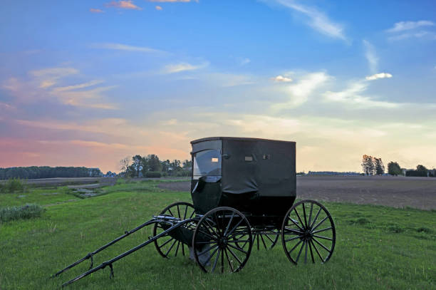 istock Amish Buggy at Sunrise-Hamilton County Indiana 1280053517