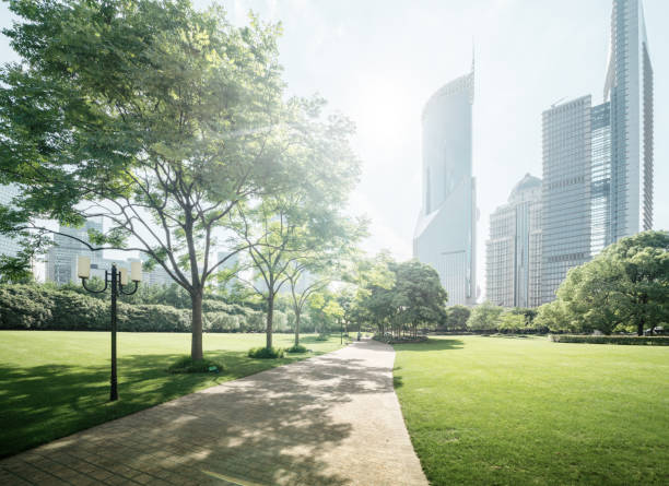 istock Green Space, Lujiazui Central, Shanghai, China 1280054364